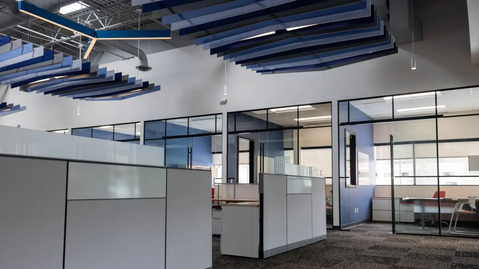 Open-plan office tenant build-out with glass-walled private offices and acoustic ceiling baffles by CJM Builders